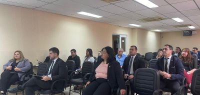 Consejo Nacional de Acceso a la Justicia: SENADIS participó de la sesión ordinaria