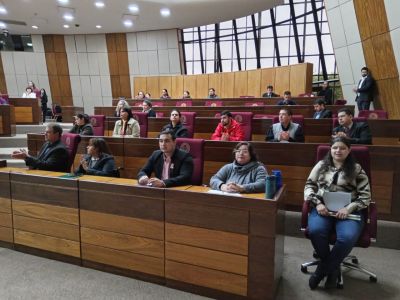 Inclusión laboral efectiva y formación de mujeres con discapacidad, temas centrales en conversatorio del que participó la SENADIS